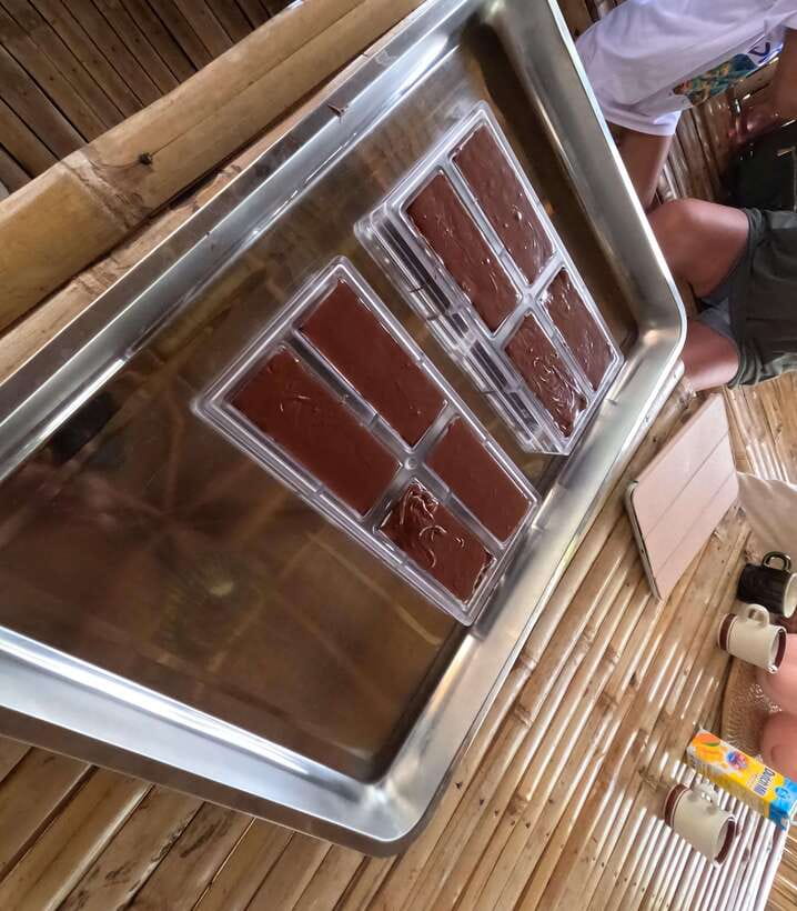 Bohol Chocolate Making and Farm Tour - The private format and guide support