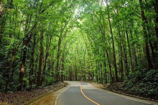 Bohol Countryside Day Tour From Cebu City | Lunch at Loboc River Cruise - The 6:00 a.m. start and the ferry to Bohol
