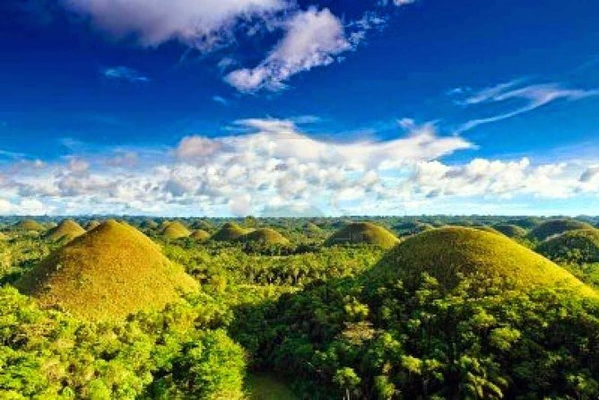 Bohol Countryside Day Tour From Cebu City | Lunch at Loboc River Cruise - What the guide and driver add