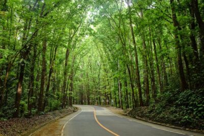 Bohol Countryside Day Tour from Cebu City or Mactan - Best Seller - The first stops: history before the hills