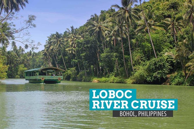 Bohol Countryside Day Tour from Cebu City or Mactan - Best Seller - The Mahogany Forest and the road to Chocolate Hills