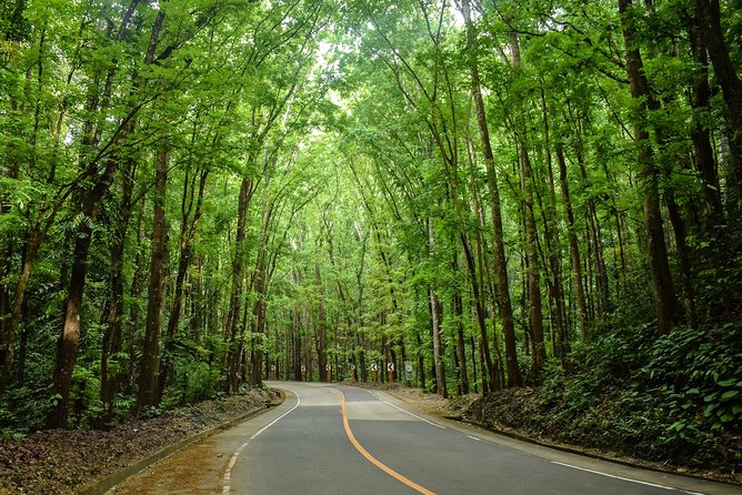 Bohol Countryside Day Tour from Cebu City or Mactan - Best Seller - The first stops: history before the hills