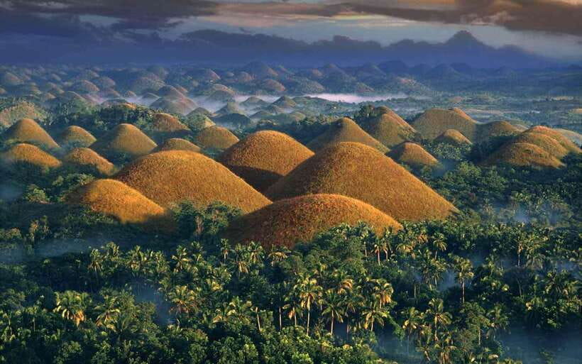 Bohol: Countryside Tour with Loboc (Buffet Lunch) - An eight-hour introduction to Bohol