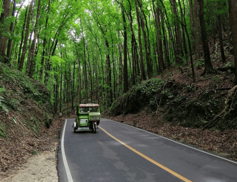 Bohol: Countryside Tour with Tarsiers and Chocolate Hills - A cool stop in the Bohol Man-Made Forest