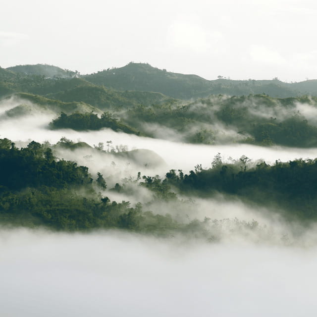 Bohol: Danao Adventure with The Plunge - Key points to know before booking