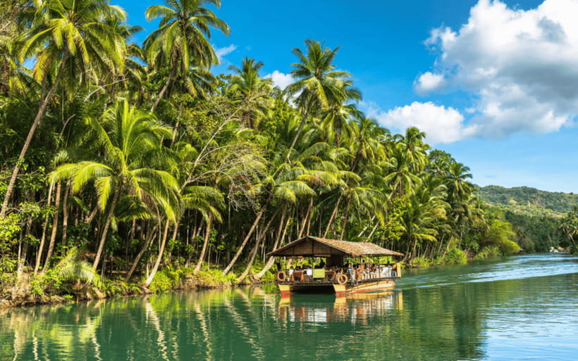Bohol Day Tour From Cebu City or Mactan (Private Tour) - Why this Cebu to Bohol trip can make sense
