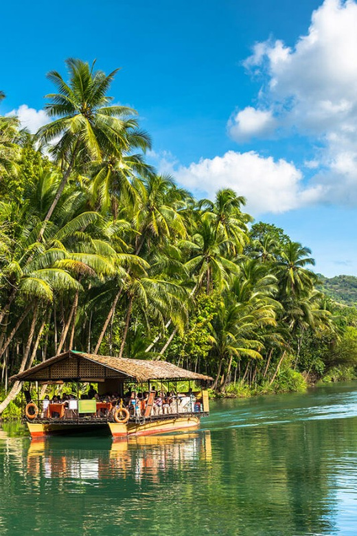 Bohol Day Tour From Cebu City or Mactan (Private Tour) - What private transport really adds