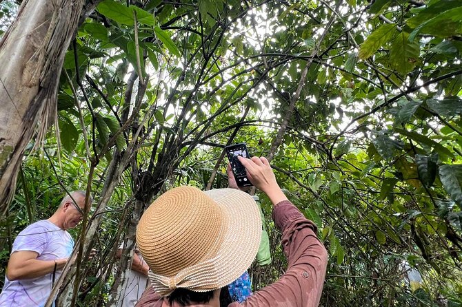 Bohol Day Tour with Round-Trip Transfers from Cebu - What may be added, and what is guaranteed