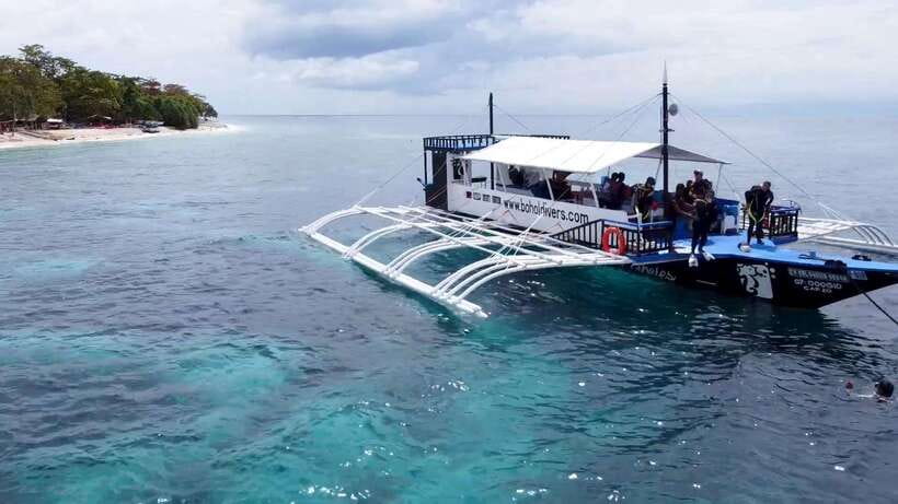 Bohol: Dolphin Watching & Snorkeling at Balicasag Island - Key points before you book