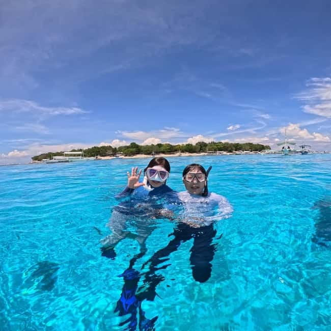 BOHOL: Dolphin Watching, Turtle Swim and Party Boat - Key points to know before booking