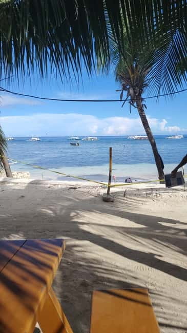 BOHOL: Dolphin Watching, Turtle Swim and Party Boat - What the crew adds to the experience