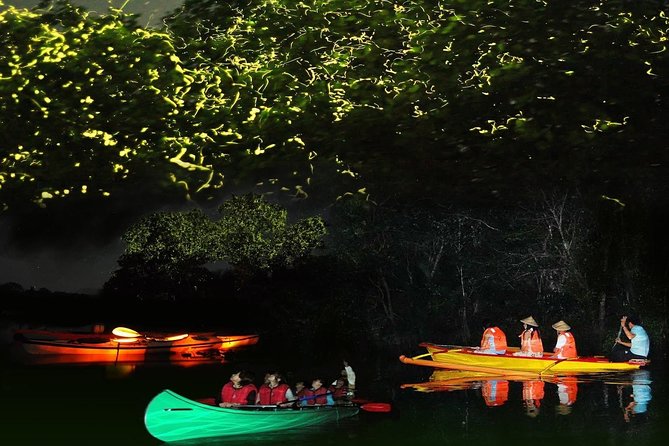 Bohol Firefly Watching (Private) - Key points to know before booking