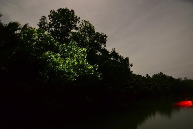 Bohol Firefly Watching (Private) - Leaving Panglao or Tagbilaran at 5:30 pm