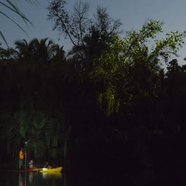 Bohol: Firefly Watching Shared Tour - Reaching Loboc after sunset