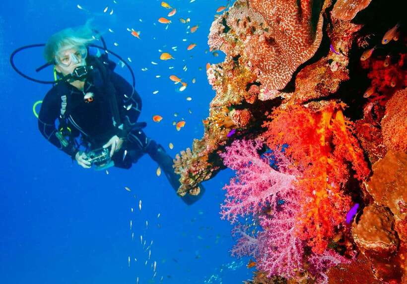 Bohol: First-Time Scuba Dive - No Experience Needed - What the $99 price really covers