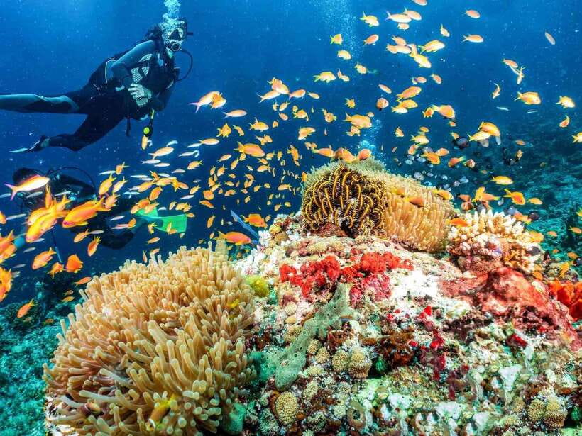 Bohol: First-Time Scuba Dive - No Experience Needed - The first hour: learning the basics without pressure