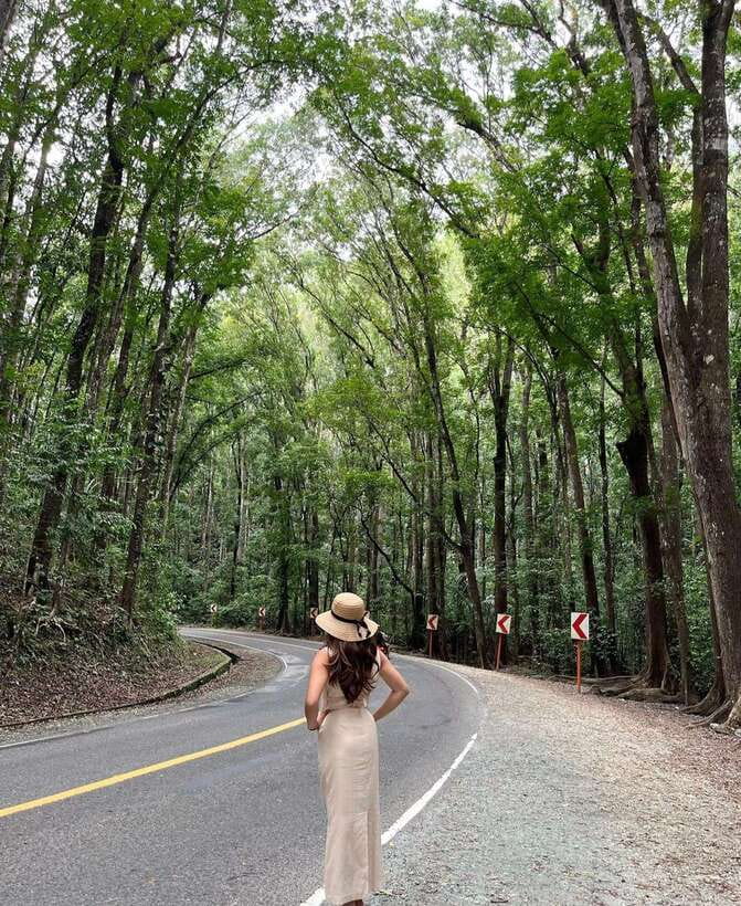Bohol: Guided Chocolate Hills & Tarsiers Tour - Why this Bohol day tour works well