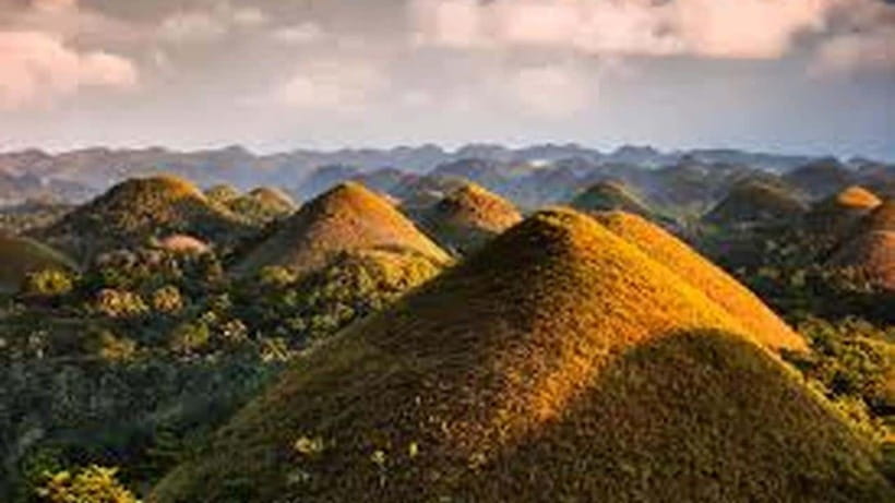 Bohol: Guided Chocolate Hills & Tarsiers Tour - Meeting Bohol’s tiny tarsiers