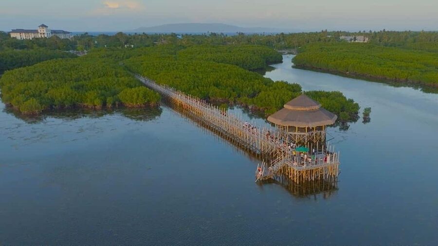 Bohol Hidden Gems: Panglao Beaches, Forests & Cave Adventure - Why this Panglao day trip works