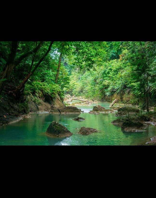 Bohol: Hidden Waterfall Hopping and Jungle Trek Adventure - What to Pack for Wet Rocks and Jungle Heat