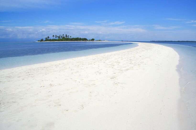 Bohol Island Hopping Tour (Private Tour) - Dolphin watching near Balicasag Island