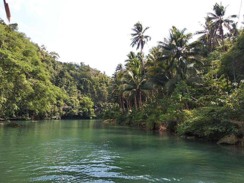Bohol: Loboc River Buffet-Lunch Cruise with Private Transfer - Eating a Filipino buffet while the river moves past