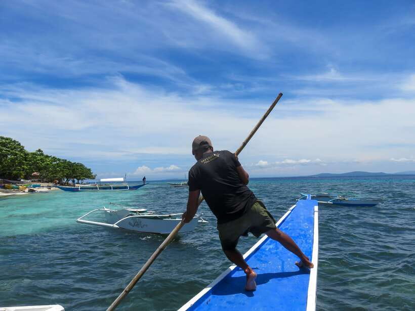 Bohol: Pamilacan Island Dolphin/Turtle Watching Tour & Lunch - Starting before sunrise at Abraham Bohol