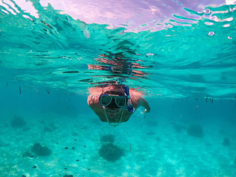 Bohol: Pamilacan Island Dolphin/Turtle Watching Tour & Lunch - Snorkeling with turtles and coral life