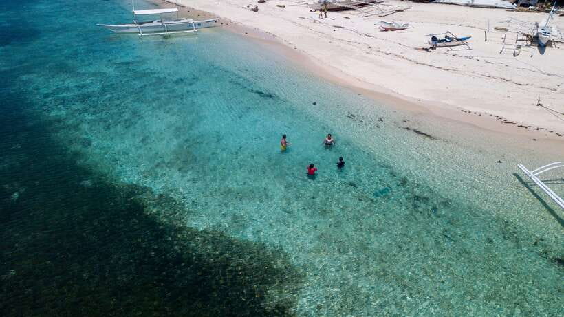 Bohol: Pamilacan Island Dolphin/Turtle Watching Tour & Lunch - Lunch at Shirley’s Cottages