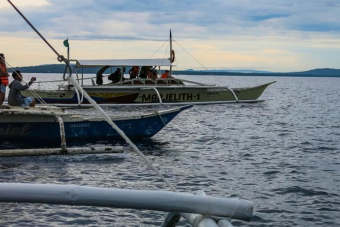 Bohol: Pamilacan Island Dolphin & Whale Watching Tour - Leaving Tagbilaran or Panglao before the heat