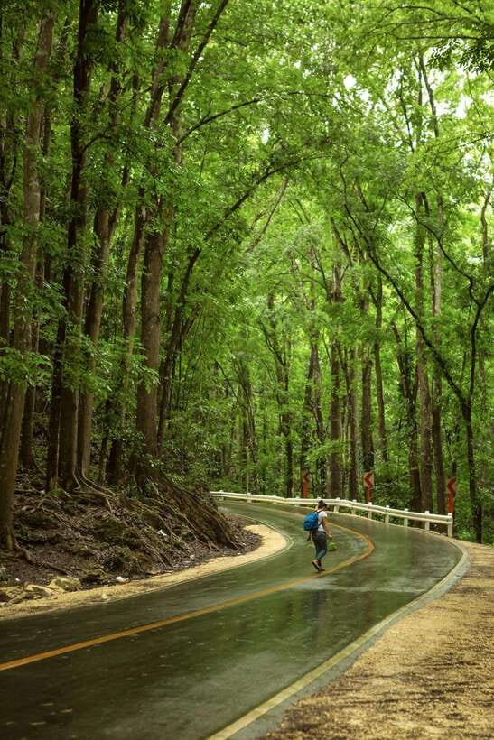 Bohol: Premium Chocolate Hills, Tarsiers & River Experience - Key points at a glance