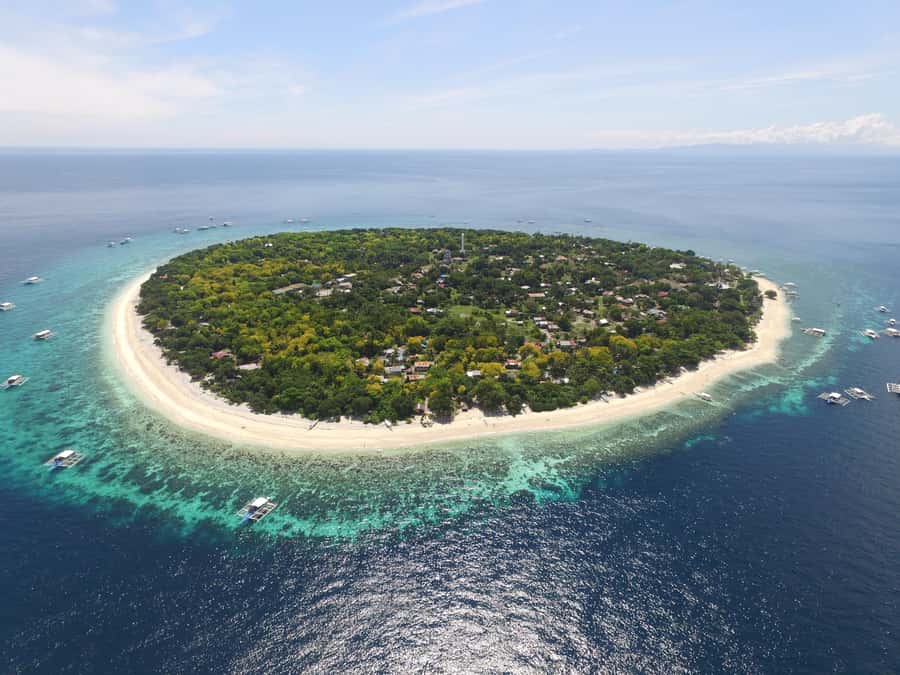 Bohol: Private Balicasag Tour with extra snorkeling time - Dolphin watching before breakfast
