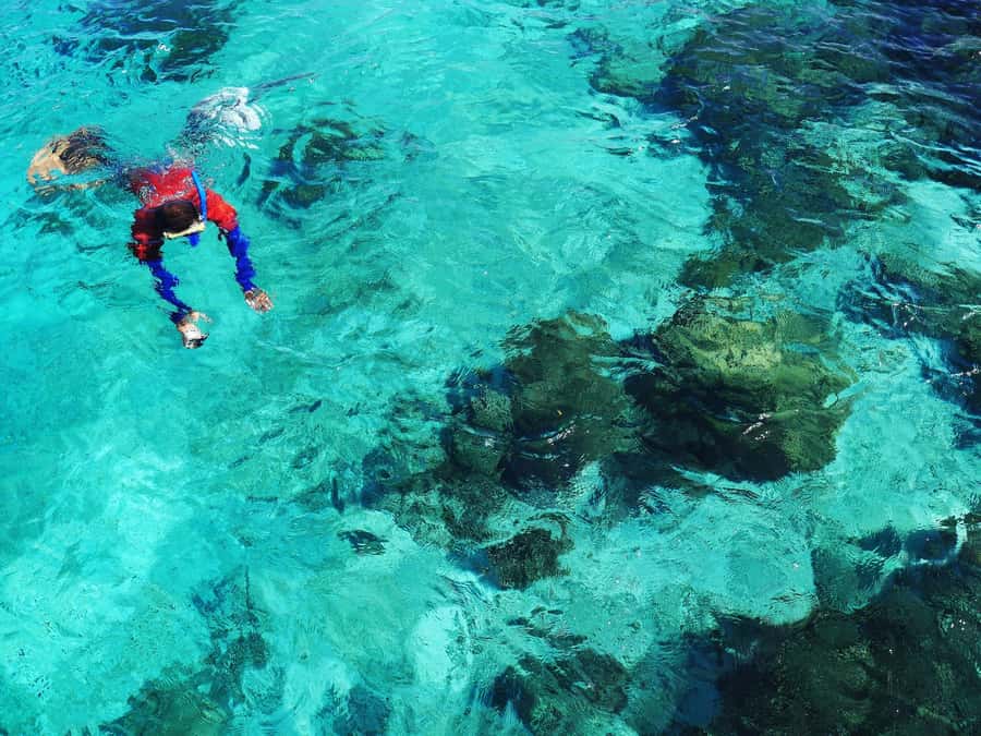 Bohol: Private Balicasag Tour with extra snorkeling time - Extra snorkeling around Balicasag at 9:15 AM