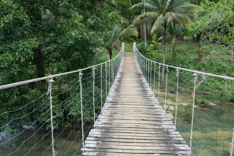 Bohol: Private Countryside Tour with Buffet Lunch - Tarsiers, butterflies, and the wildlife stops