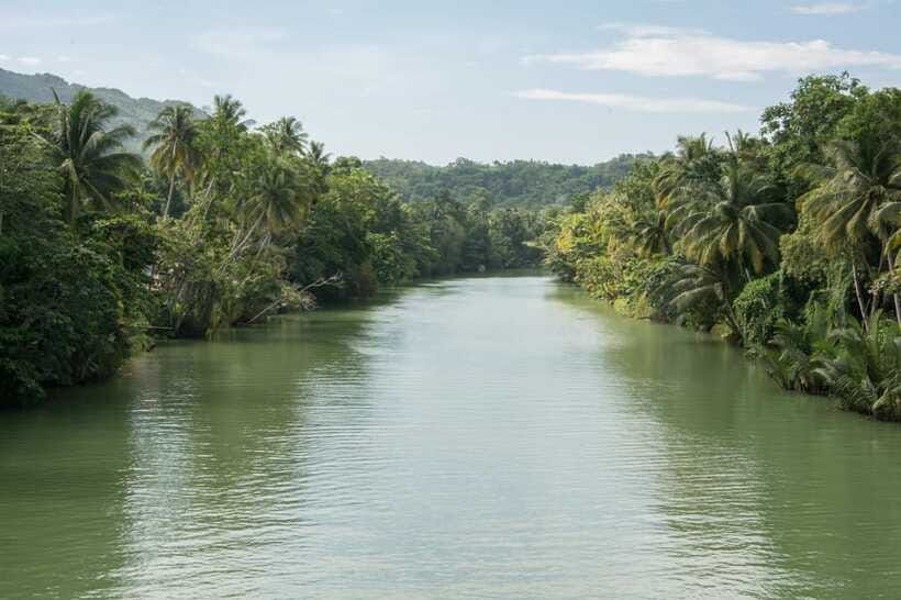 Bohol: Private Countryside Tour with Buffet Lunch - The Bilar Man-Made Forest