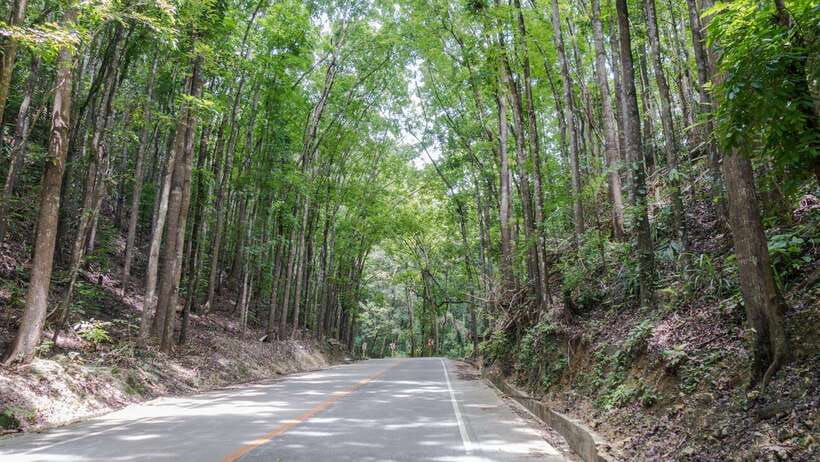 Bohol: Private Countryside Tour with Buffet Lunch - The Blood Compact Shrine and Bohol’s first historical stop