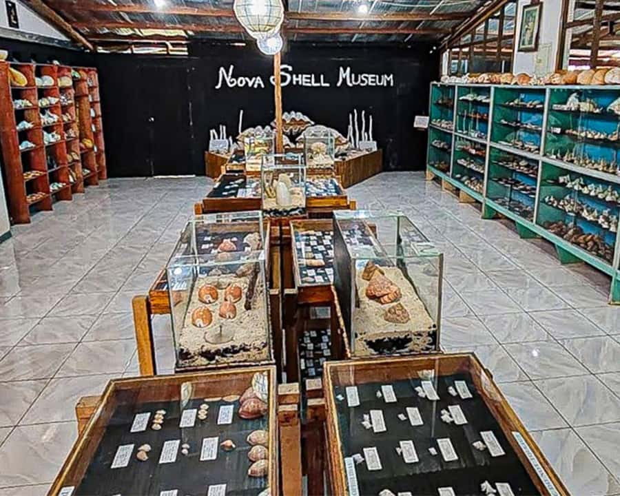 Bohol: PRIVATE Panglao Land Tour - Nova Shell Museum: an unusual first stop