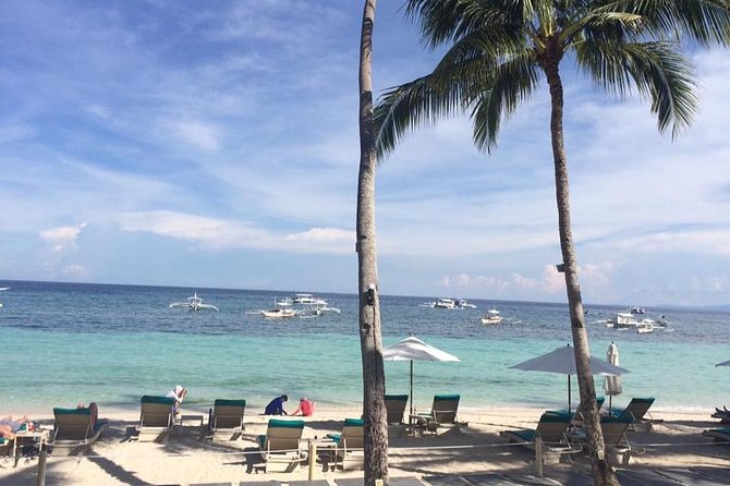 Bohol's Panglao Island Half Day Land & Half Day Island Hopping (Cebu or Bohol) - Key points at a glance