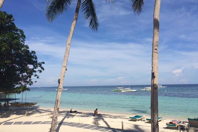 Bohol's Panglao Island Half Day Land & Half Day Island Hopping (Cebu or Bohol) - What this Panglao combination tour actually gives you