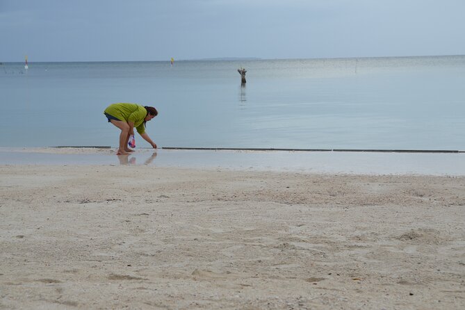 Bohol's Panglao Island Half Day Land & Half Day Island Hopping (Cebu or Bohol) - Balicasag Island and the fish sanctuary