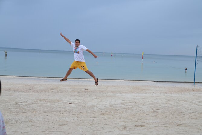 Bohol's Panglao Island Half Day Land & Half Day Island Hopping (Cebu or Bohol) - Private transport, timing, and practical comfort