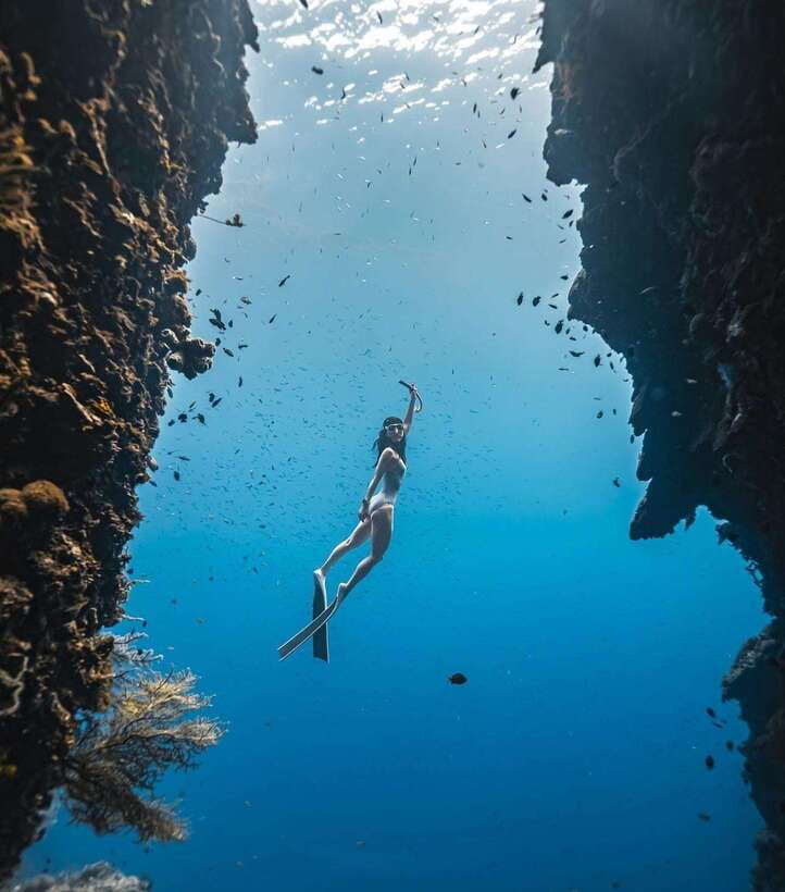 Bohol: Snorkel One of PH’s Largest Sardine Schools - What Makes Panglao’s Sardine School Special