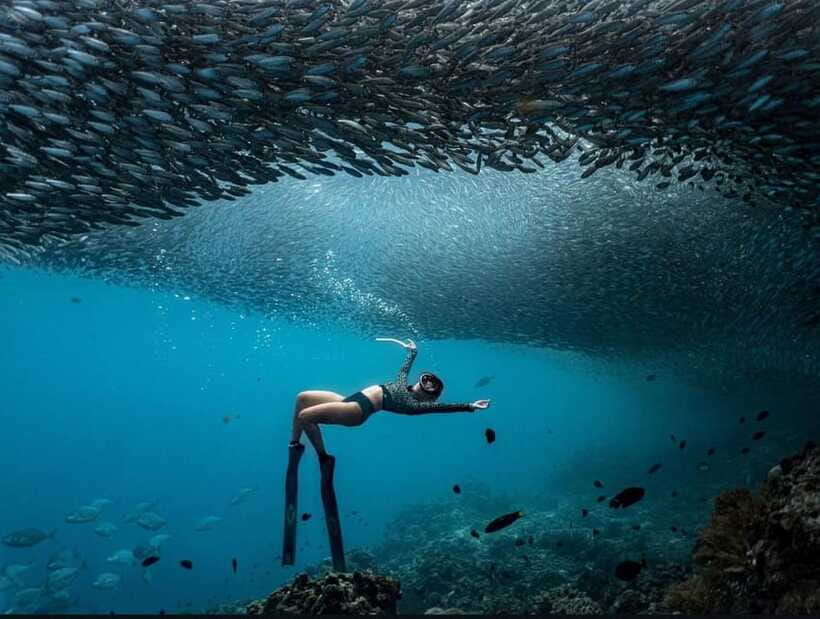 Bohol: Snorkel One of PH’s Largest Sardine Schools - Equipment, Photos, and the Important Cost Check