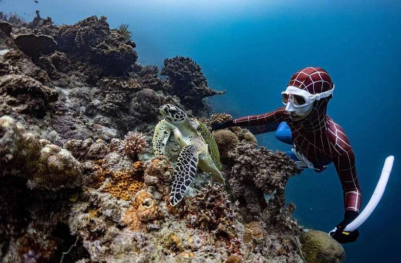 Bohol: Snorkel One of PH’s Largest Sardine Schools - Booking Tips for a Smoother Morning