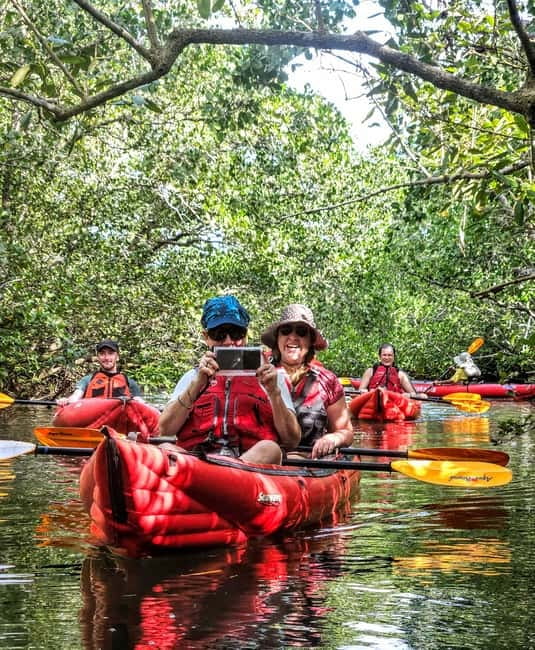 Bohol: SUSTAINABLE Mangrove Tunnels & Firefly Kayaking trail - Why the Abatan River feels different from a standard Bohol tour