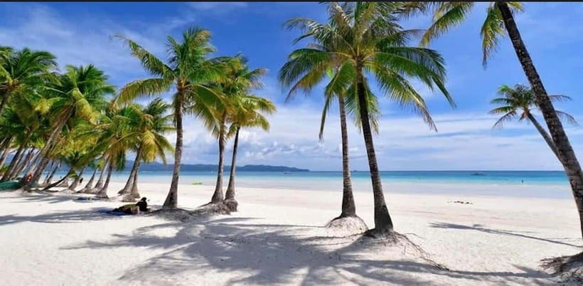 Bohol: Swim with Sea Turtles, Dolphins & Island Hopping Tour - Who should book this Bohol tour?