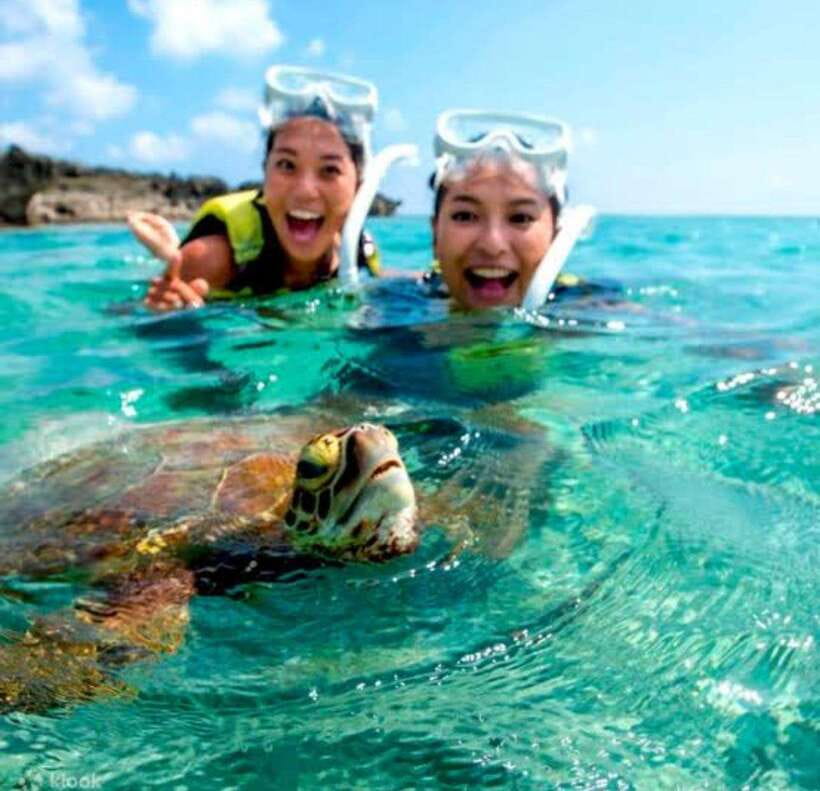 Bohol: Swim with Sea Turtles, Dolphins & Island Hopping Tour - Why the 6:00 AM start matters
