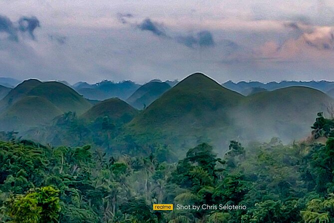 BOHOL Tour 2026 - Chocolate Hills, Tarsier and River Cruise Lunch - The Bilar Man-Made Forest and optional stops