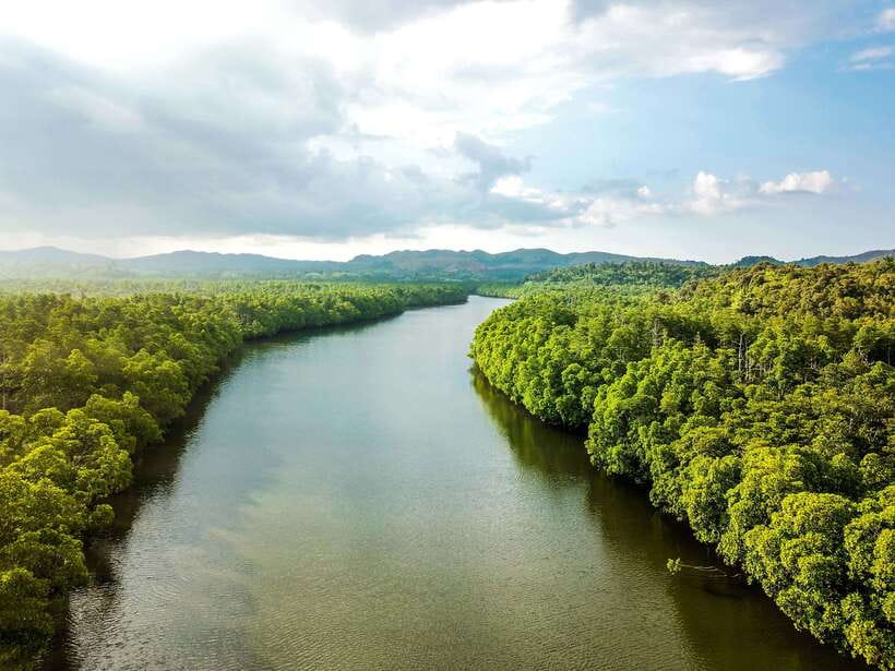 Bohol Tour Package: 3-Day Paradise Adventure - The salt-making workshop and Bohol beyond the postcard