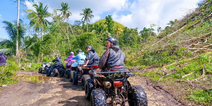 Bohol Tour Package: 3-Day Paradise Adventure - Tarsiers in a protected forest setting